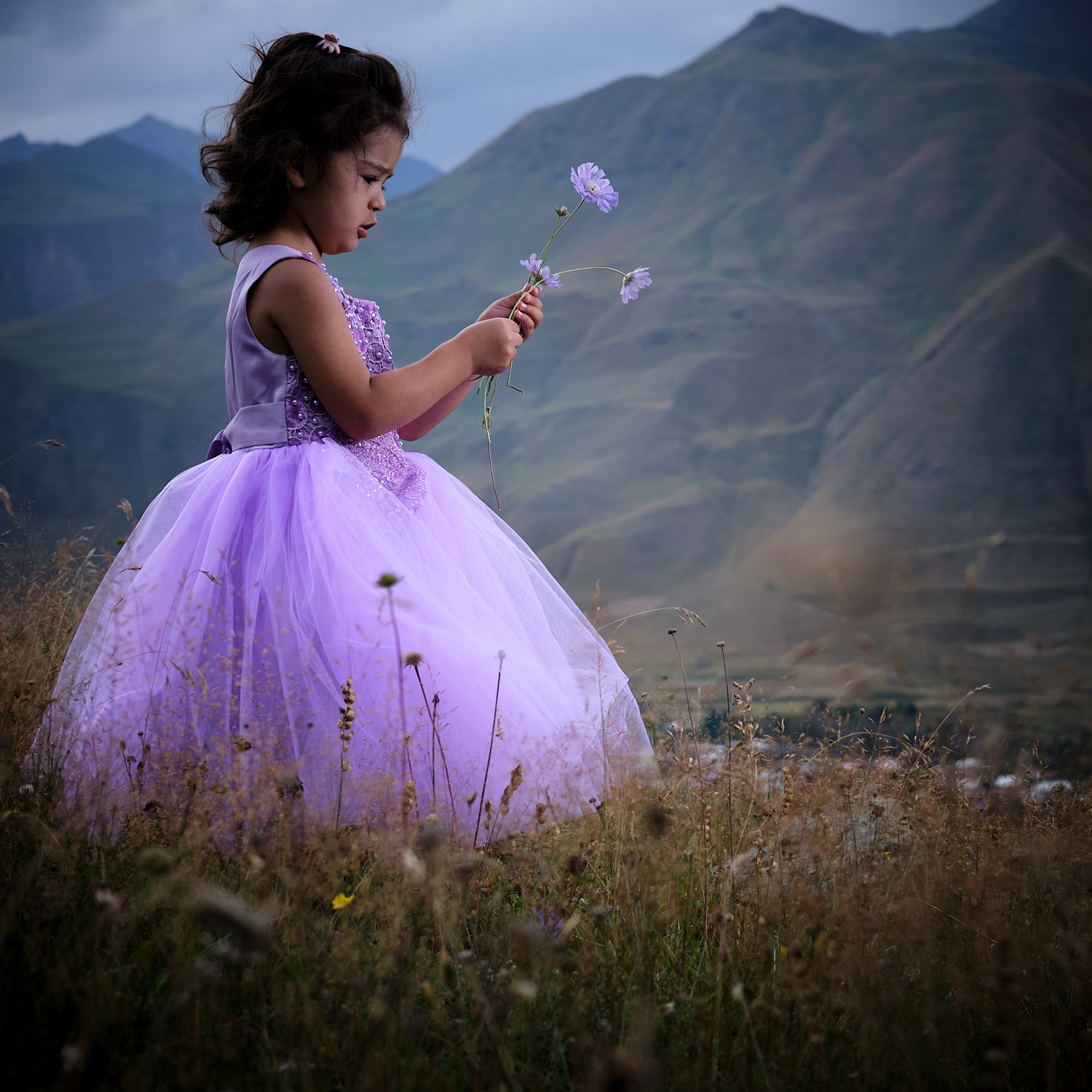 43